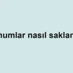 tohumlar-nasil-saklanir